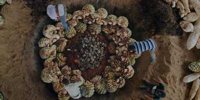 Free download Agave The Spirit Of A Nation Tequila - Documentary Official US Trailer [HD] 2019 video and edit with RedcoolMedia movie maker MovieStudio video editor online and AudioStudio audio editor onlin